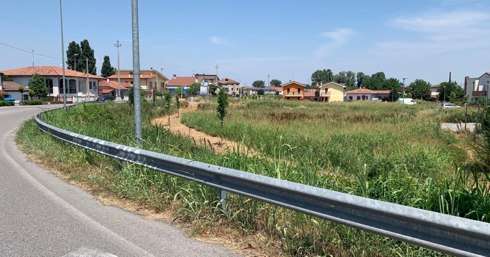 "Luce e sfalci: il Comune non perda tempo"