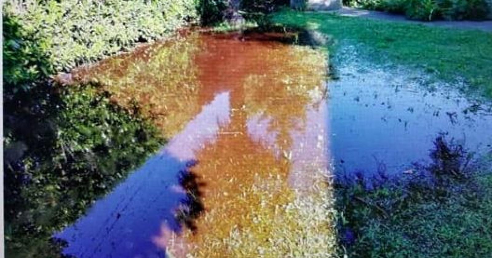 Foto di PadovaOggi