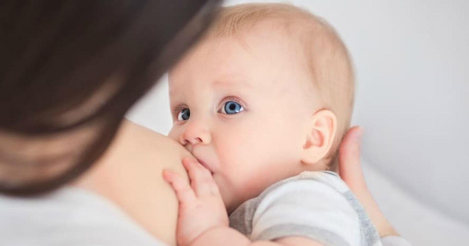 Aree per l'allattamento nelle biblioteche 