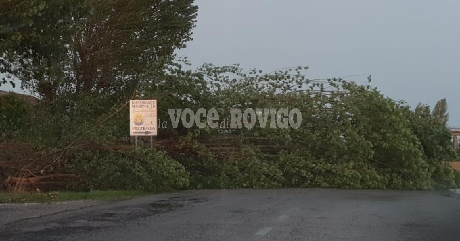 Nel Delta raffiche di vento fino ai 138 km orari