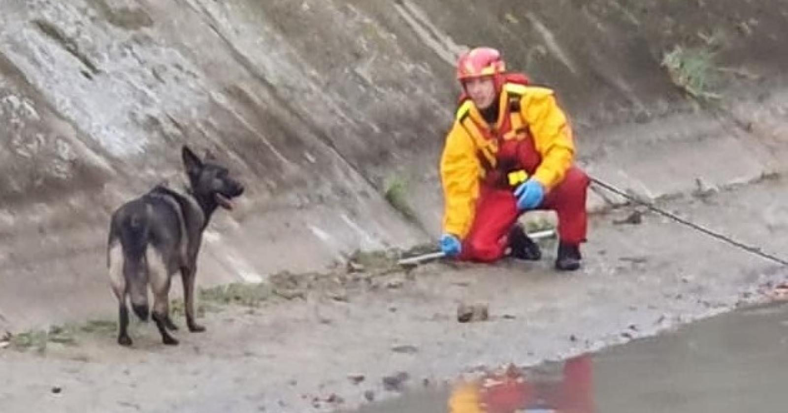 Cane in difficoltà salvato dai nostri eroi