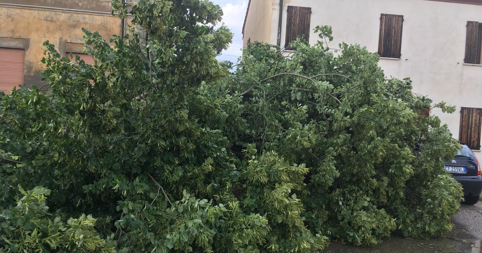 Maltempo, arrivano i rimborsi
