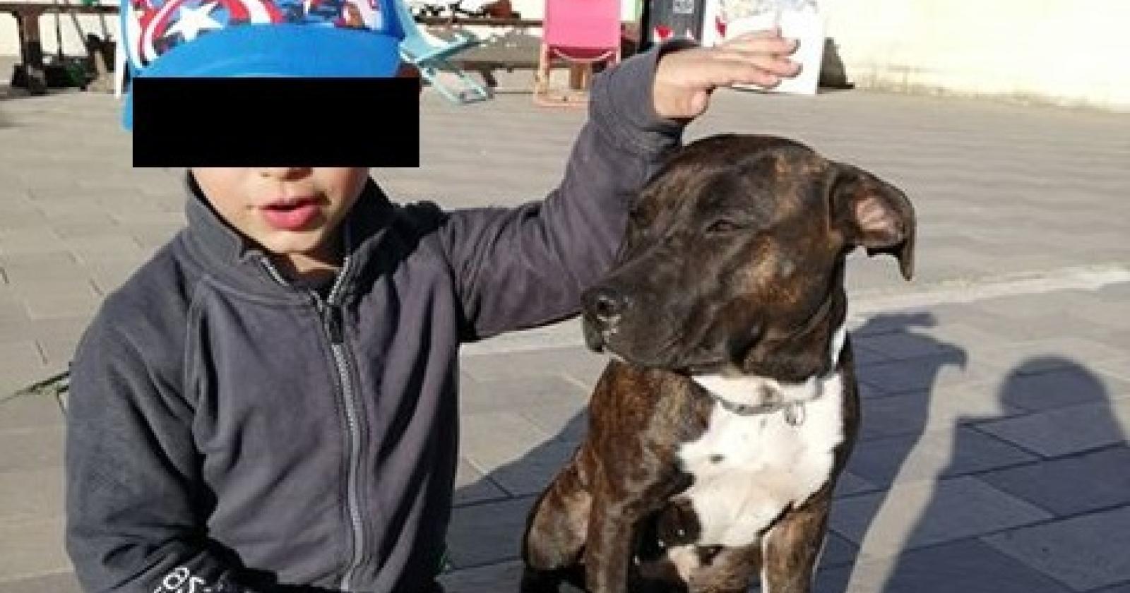 Kira è di nuovo con la sua famiglia