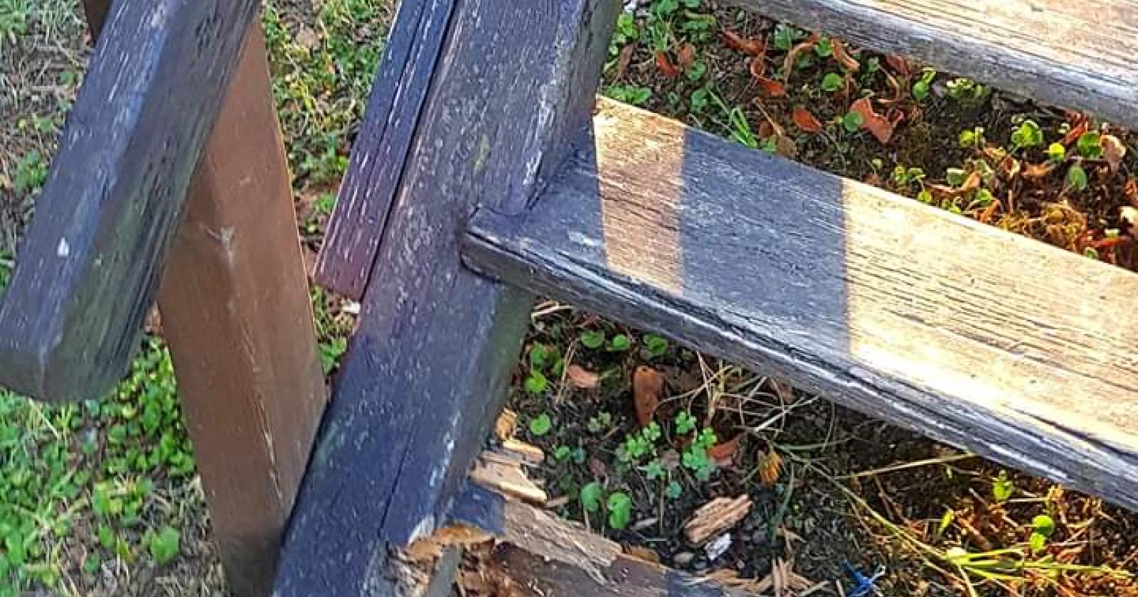 Sporcizia e degrado nei parchi