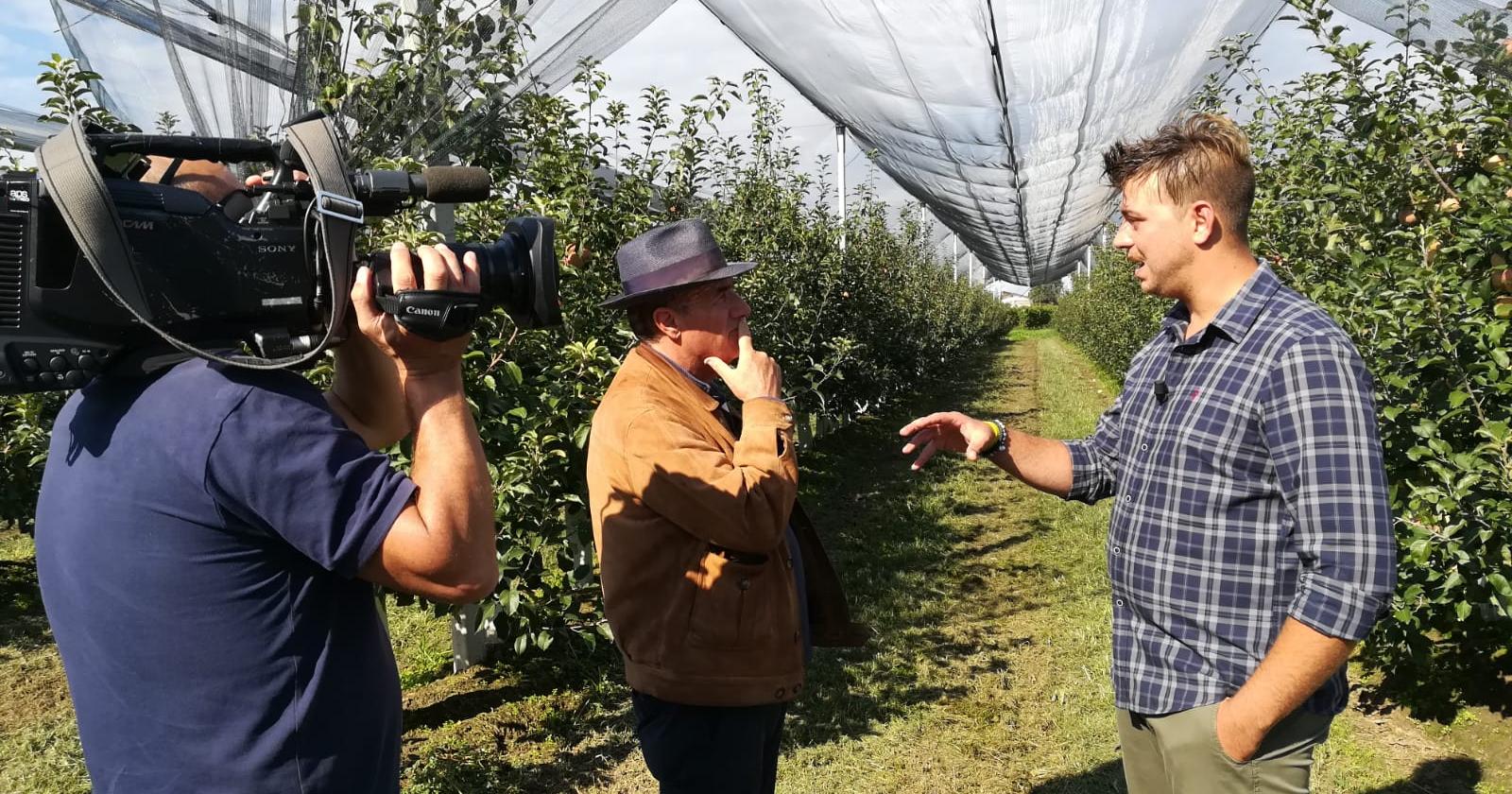 I danni della cimice in Veneto finiscono su TG1
