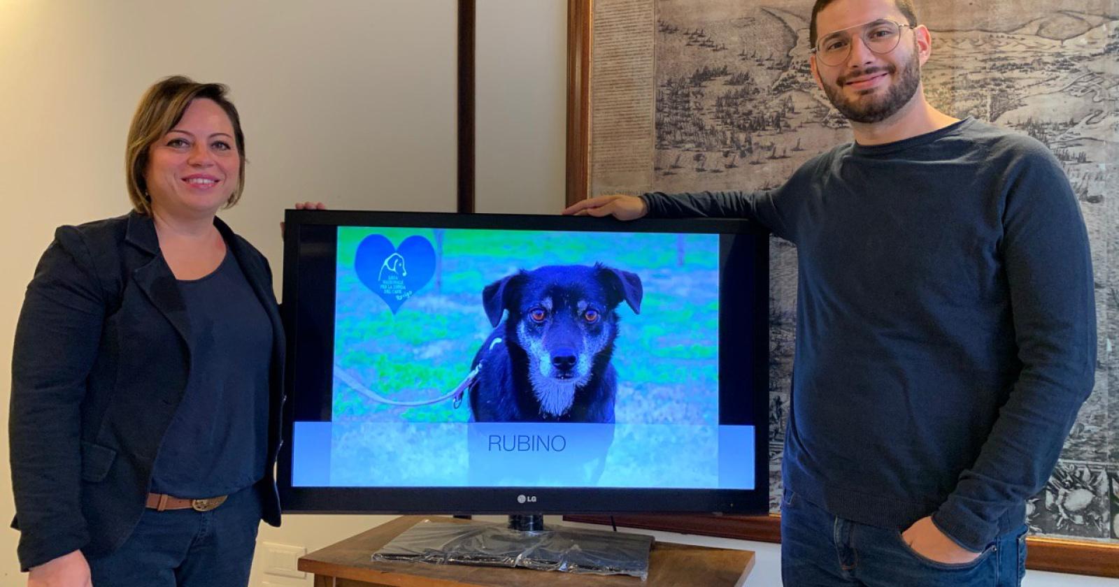 Il Comune trova casa ai cuccioli senza famiglia
