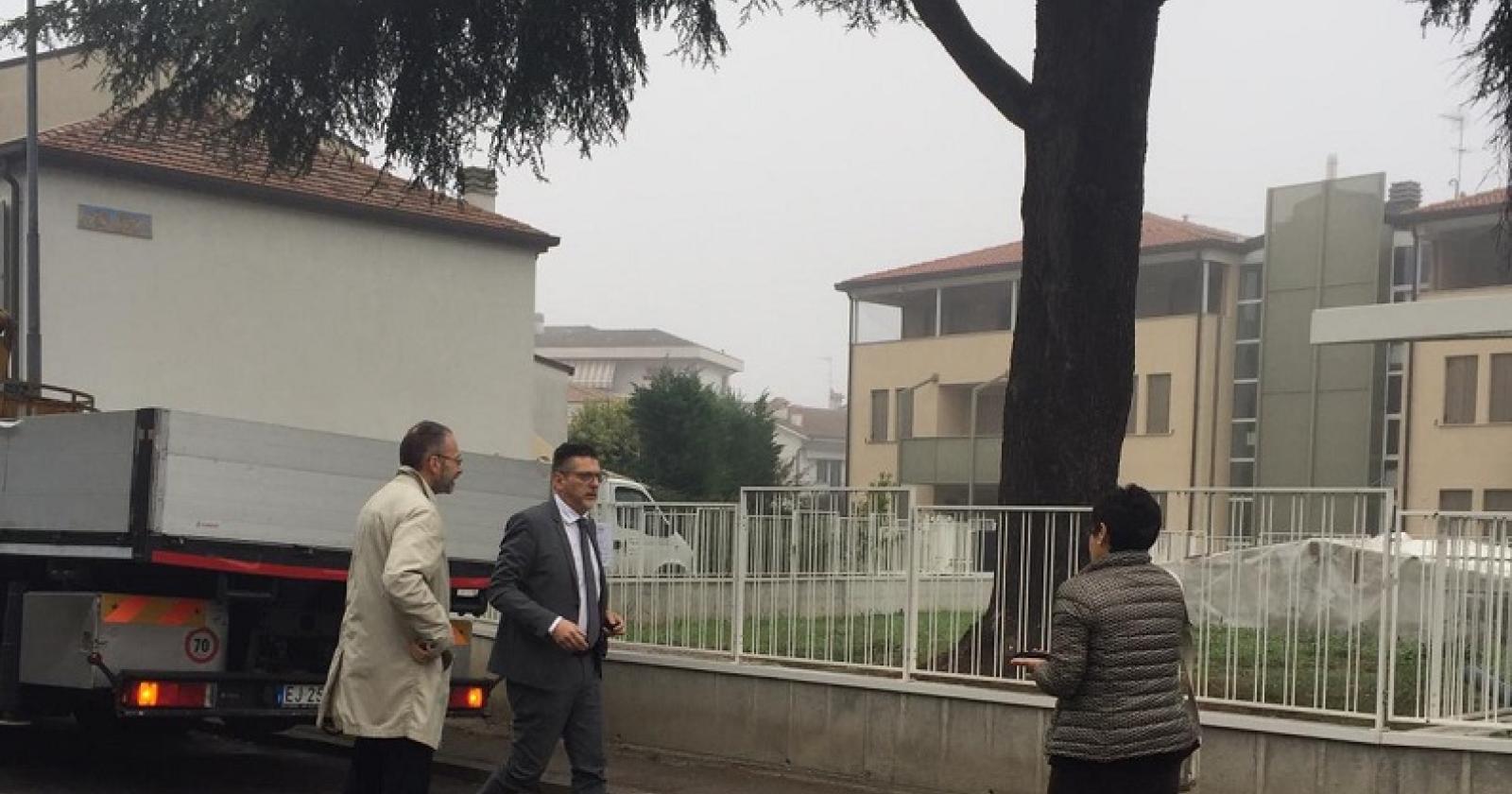 Il sindaco salva l'albero secolare