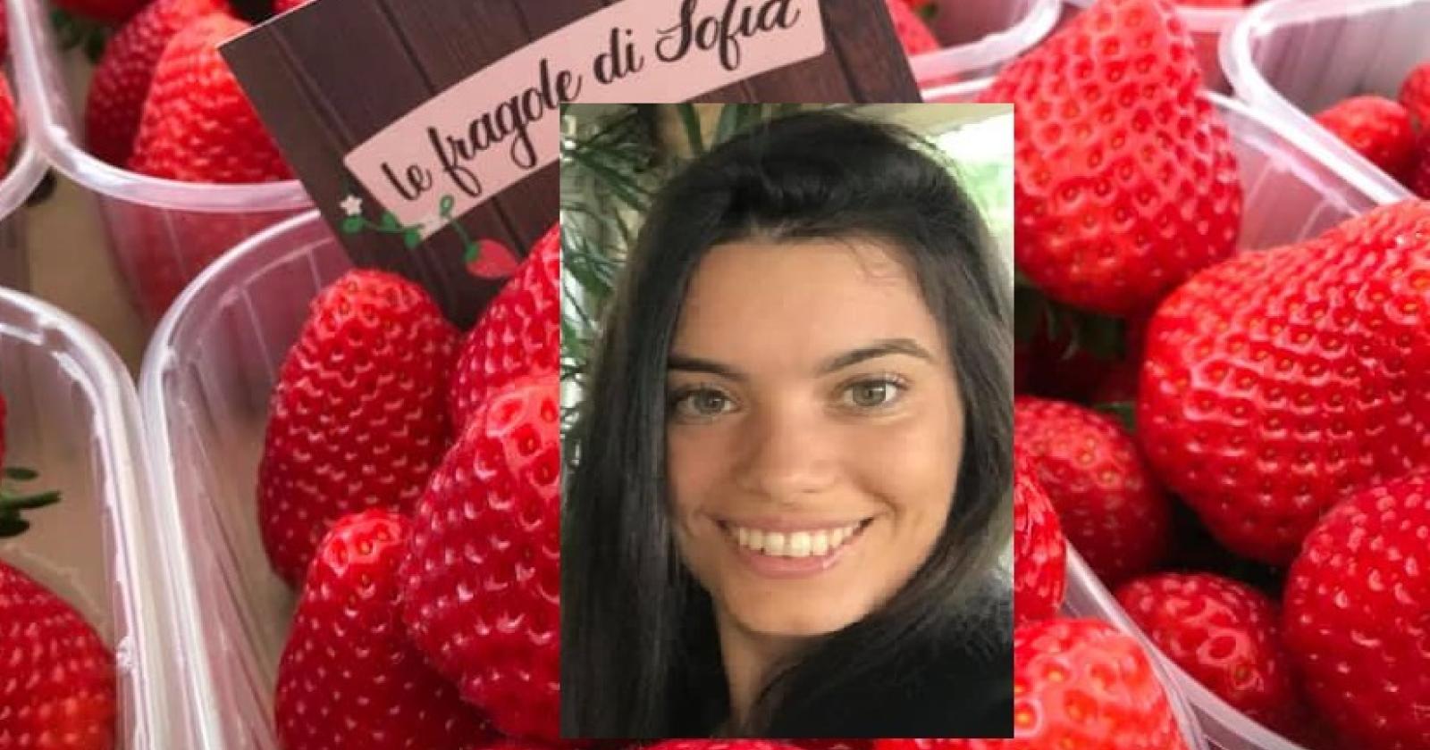 Fragole da premio made in Polesine