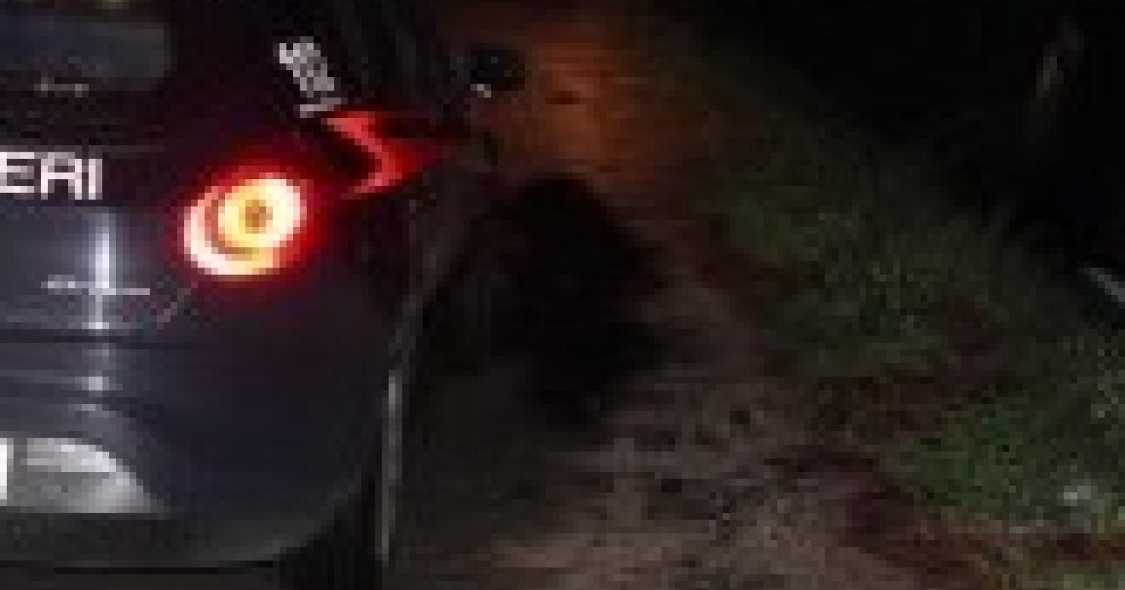 Morta, travolta da un'auto mentre aiutava un cane