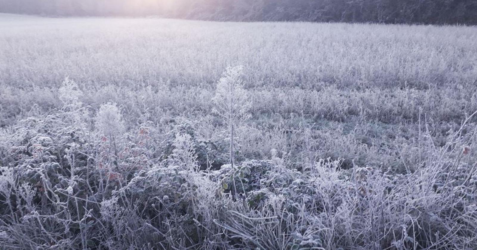 Arriva l'inverno: temperature sottozero