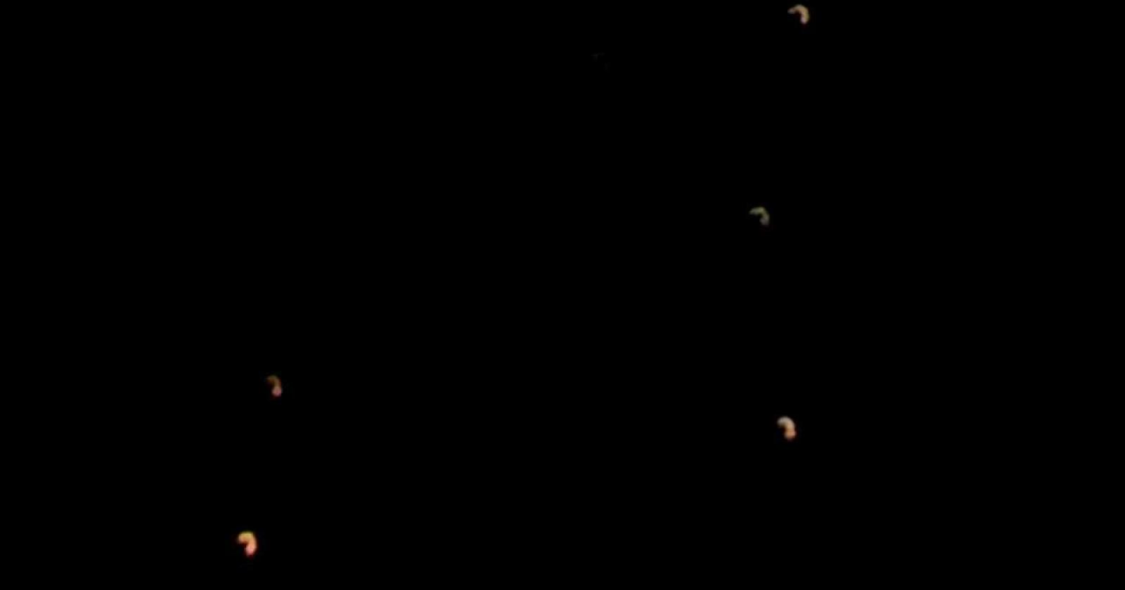 Segnalazioni ufo nel cielo della Vigilia, ma sono satelliti