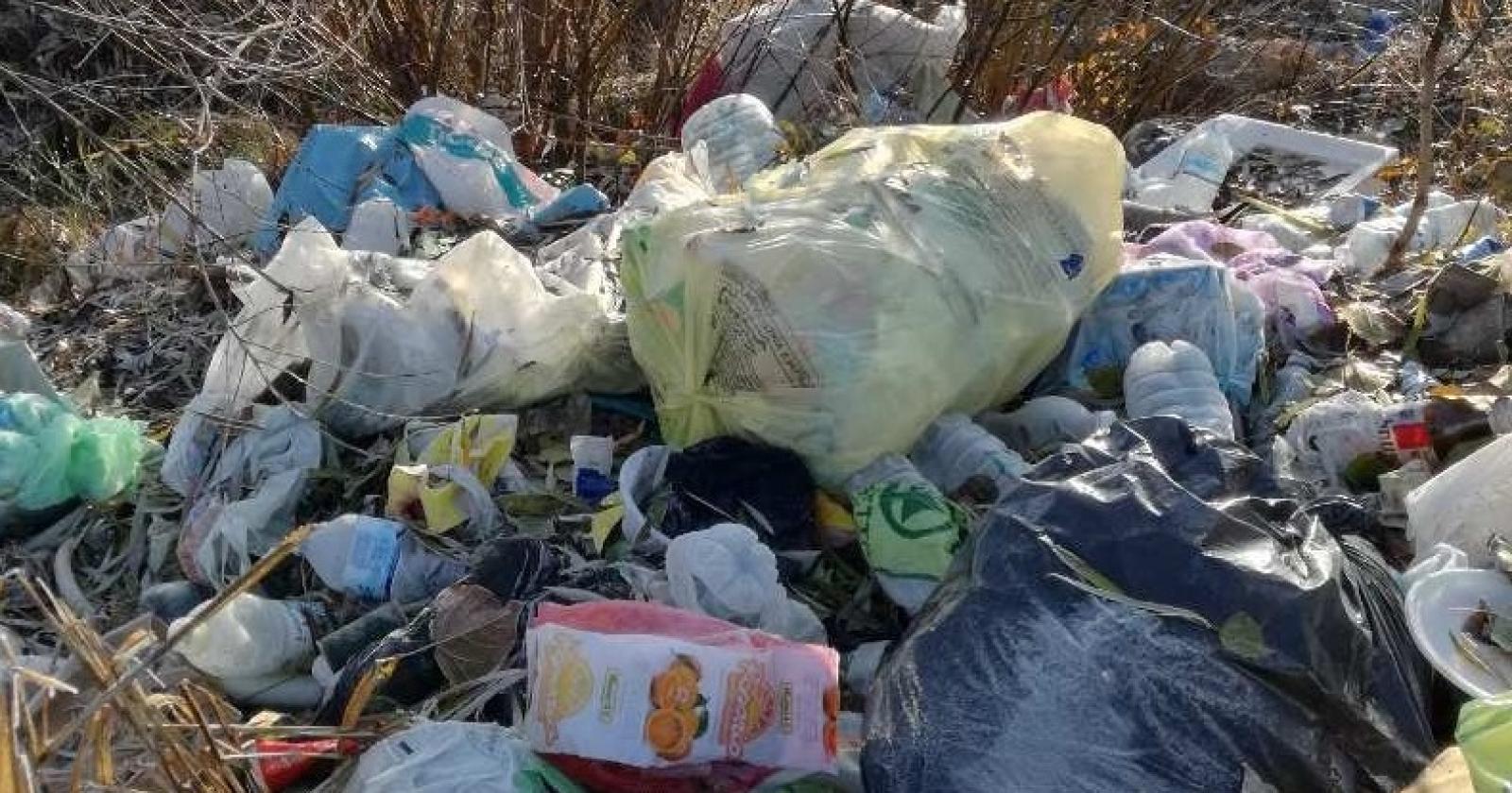 A proteggere l'ambiente arrivano le guardie ecologiche