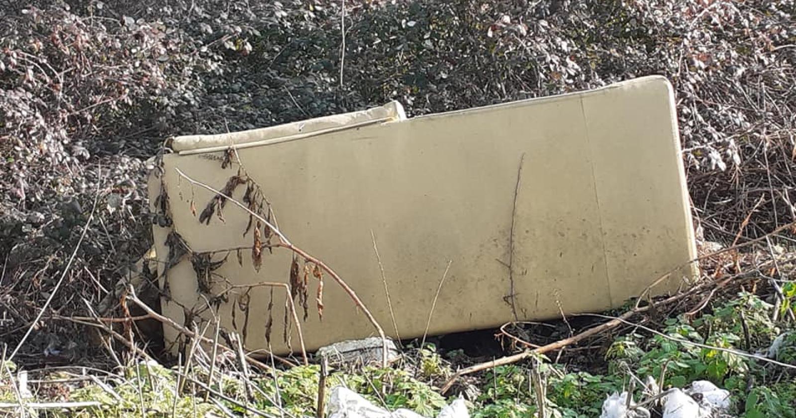 Va a girare un documentario nell'oasi, trova una discarica