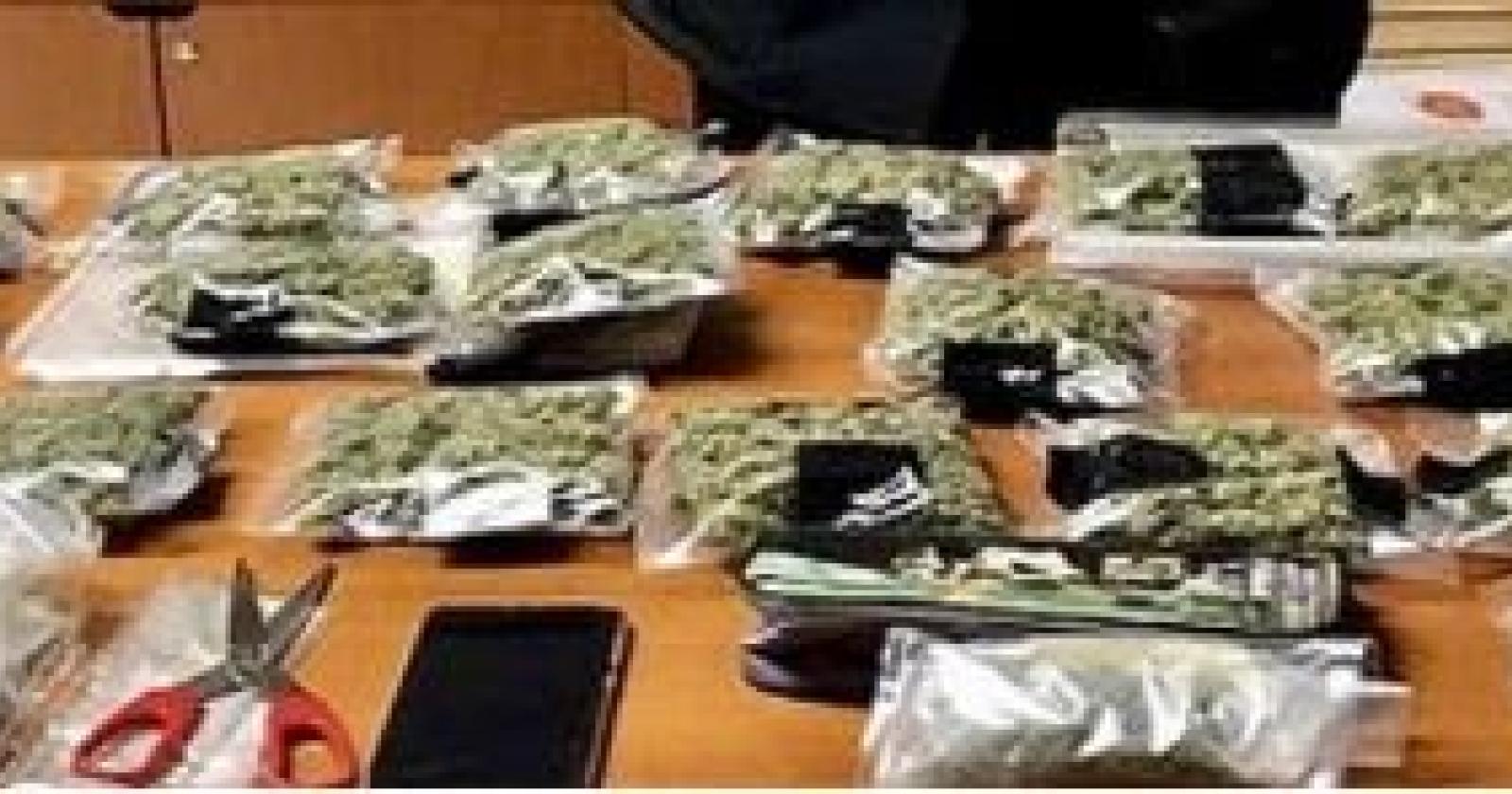 Più di due etti di marijuana in tasca: 24enne in manette