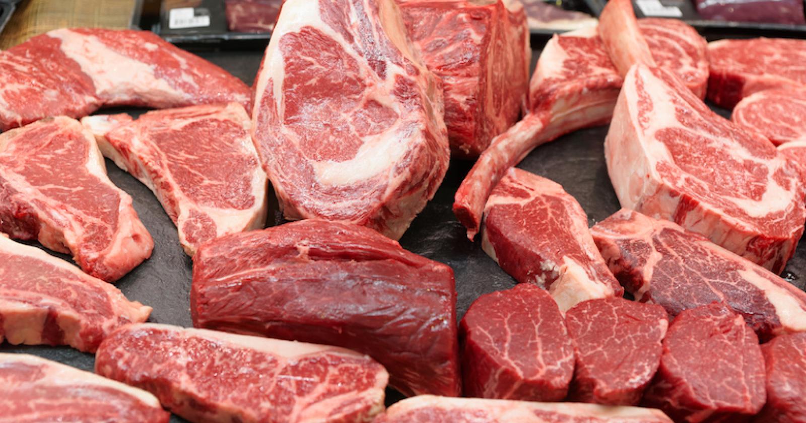 Carne contaminata da peste suina: intercettata e distrutta
