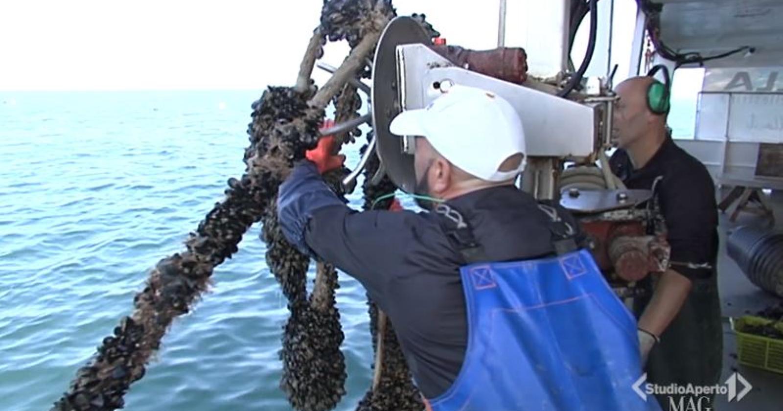 Oggi in tv la garanzia di un prodotto del nostro Delta