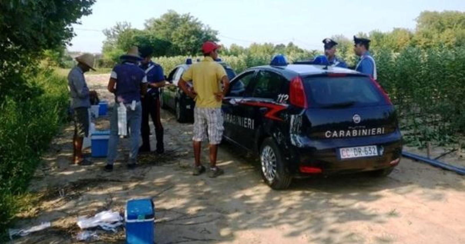 Sfruttamento di manodopera e caporalato: 4 arresti grazie all'arma di Padova e Rovigo