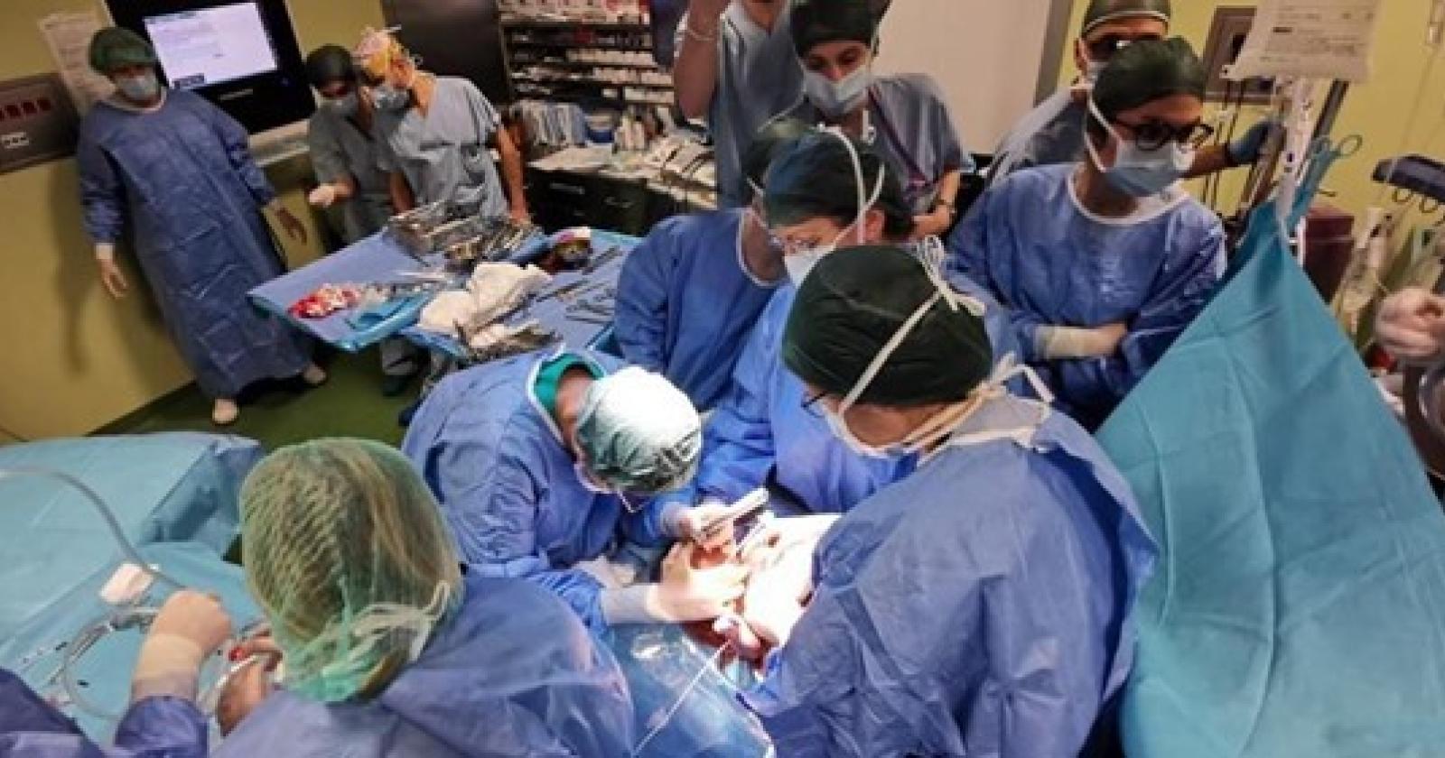Giulia ha soli 3 giorni di vita, e un tumore enorme al collo: scatta l'intervento