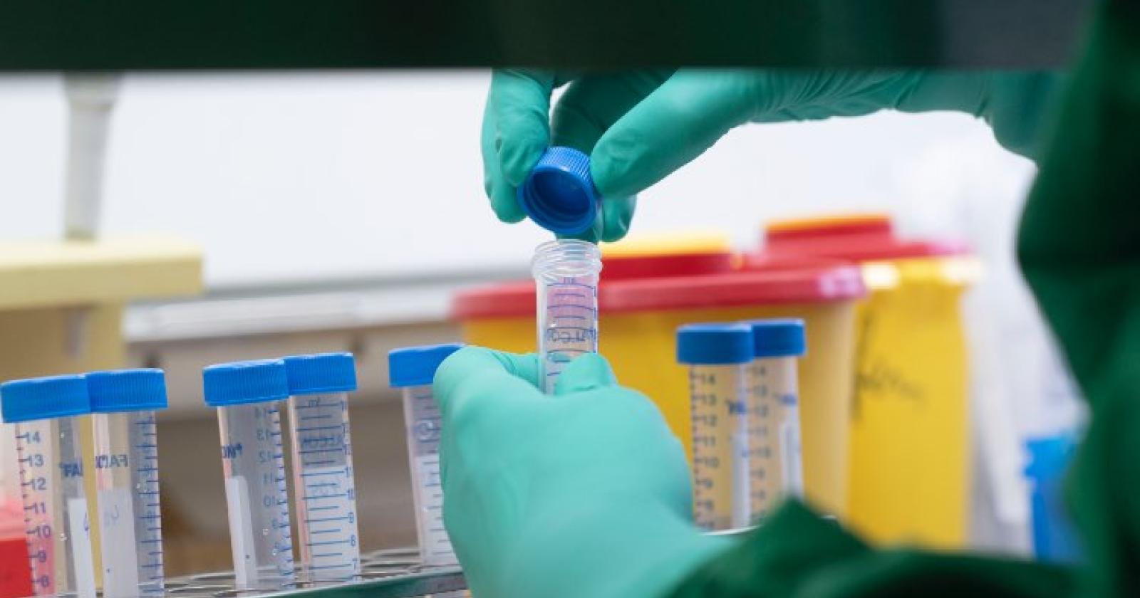 Coronavirus, sesto contagiato a Cavarzere
