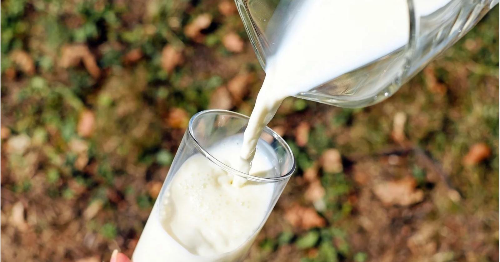 Latte e formaggio a scuola contro il calo della domanda