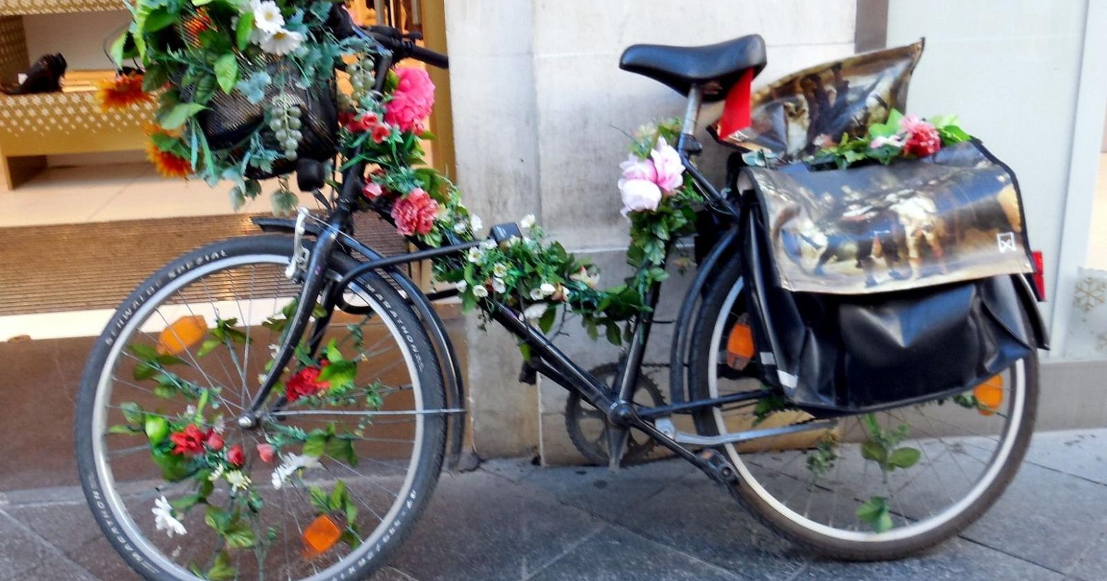 "Approfittatene per godervi un giro in bici o una passeggiata, in sicurezza"
