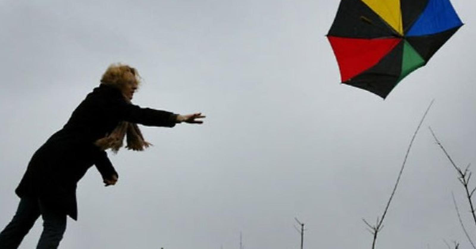 Attenzione: Vento di Bora in arrivo