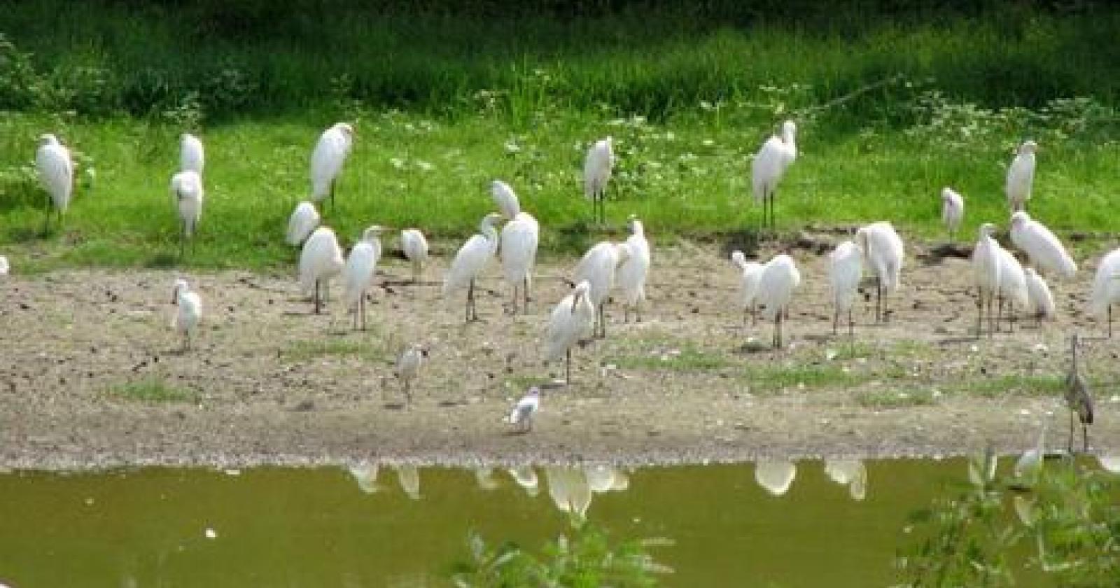 Papozze, l'oasi di Panarella si prepara ad accogliere i visitatori