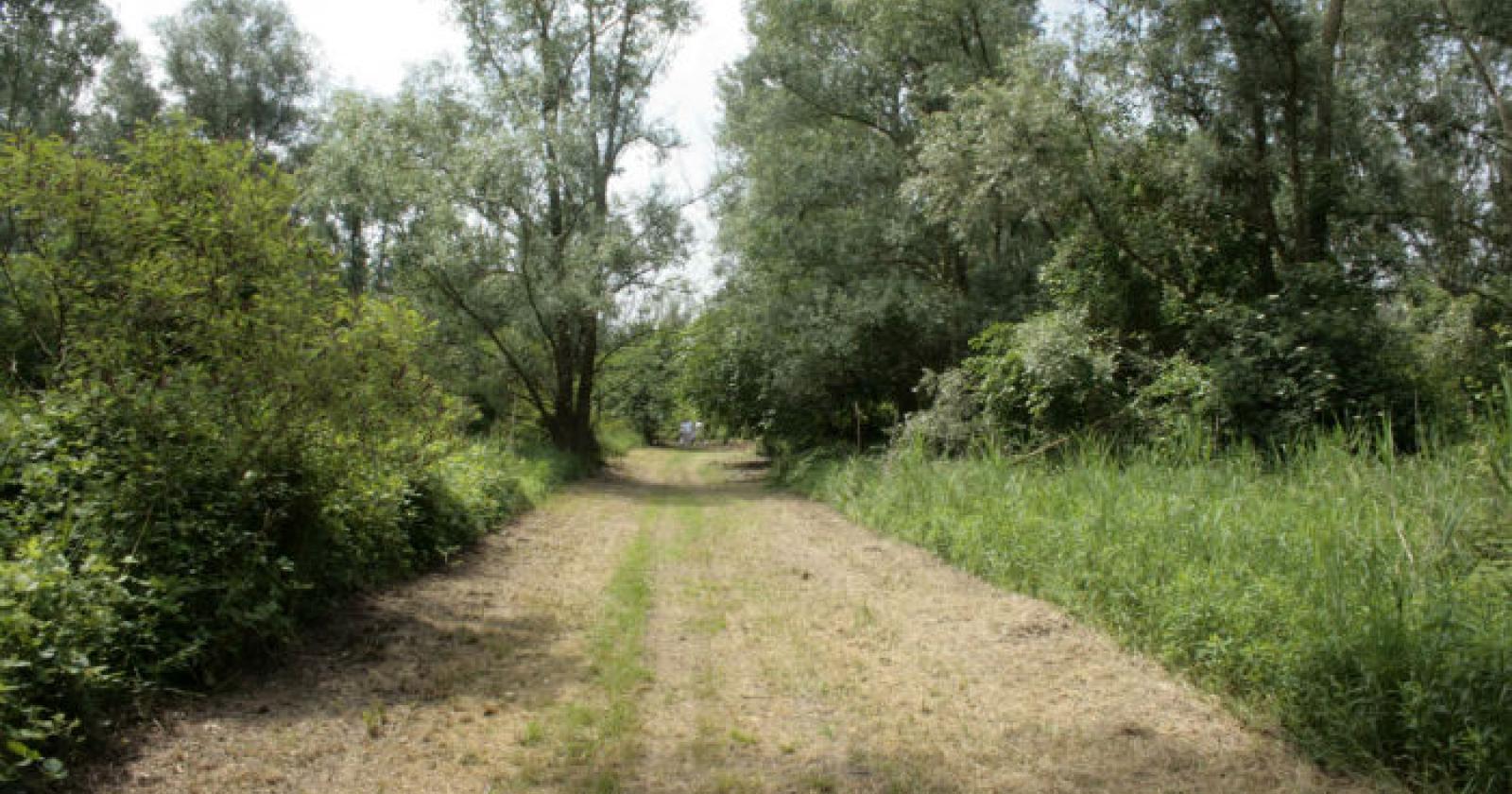 Papozze, l'oasi di Panarella si prepara ad accogliere i visitatori