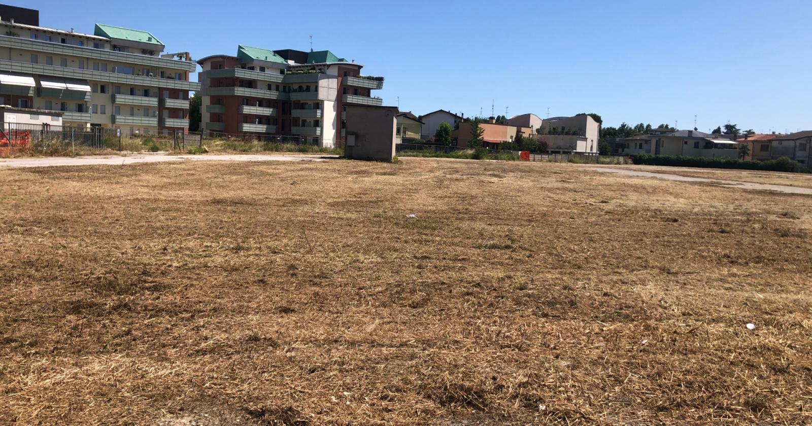 Finalmente tagliano l'erba, e Rossini se la prende con il comandante della polizia locale