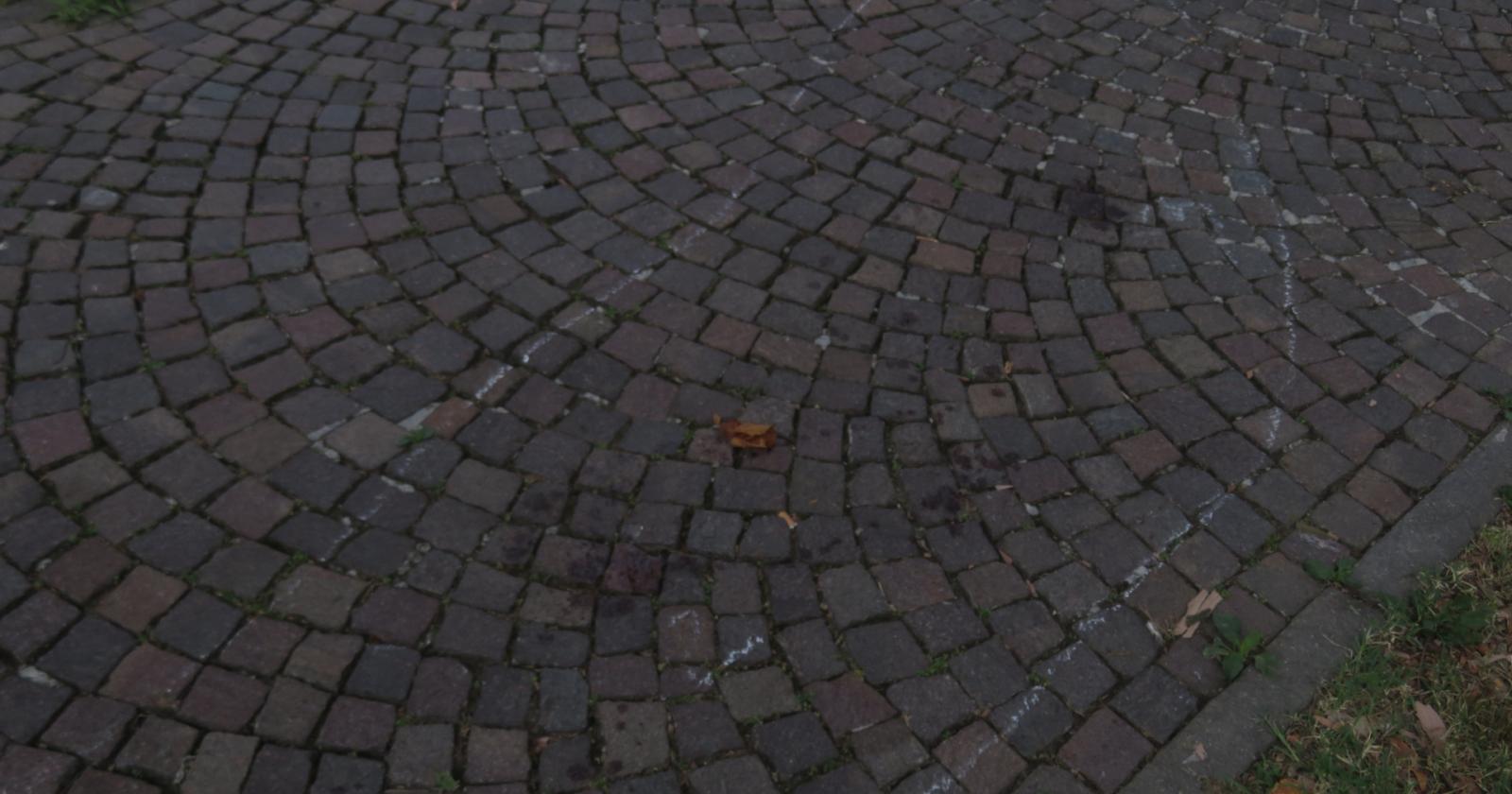 Ballerina accoltellata, arrestate due colleghe