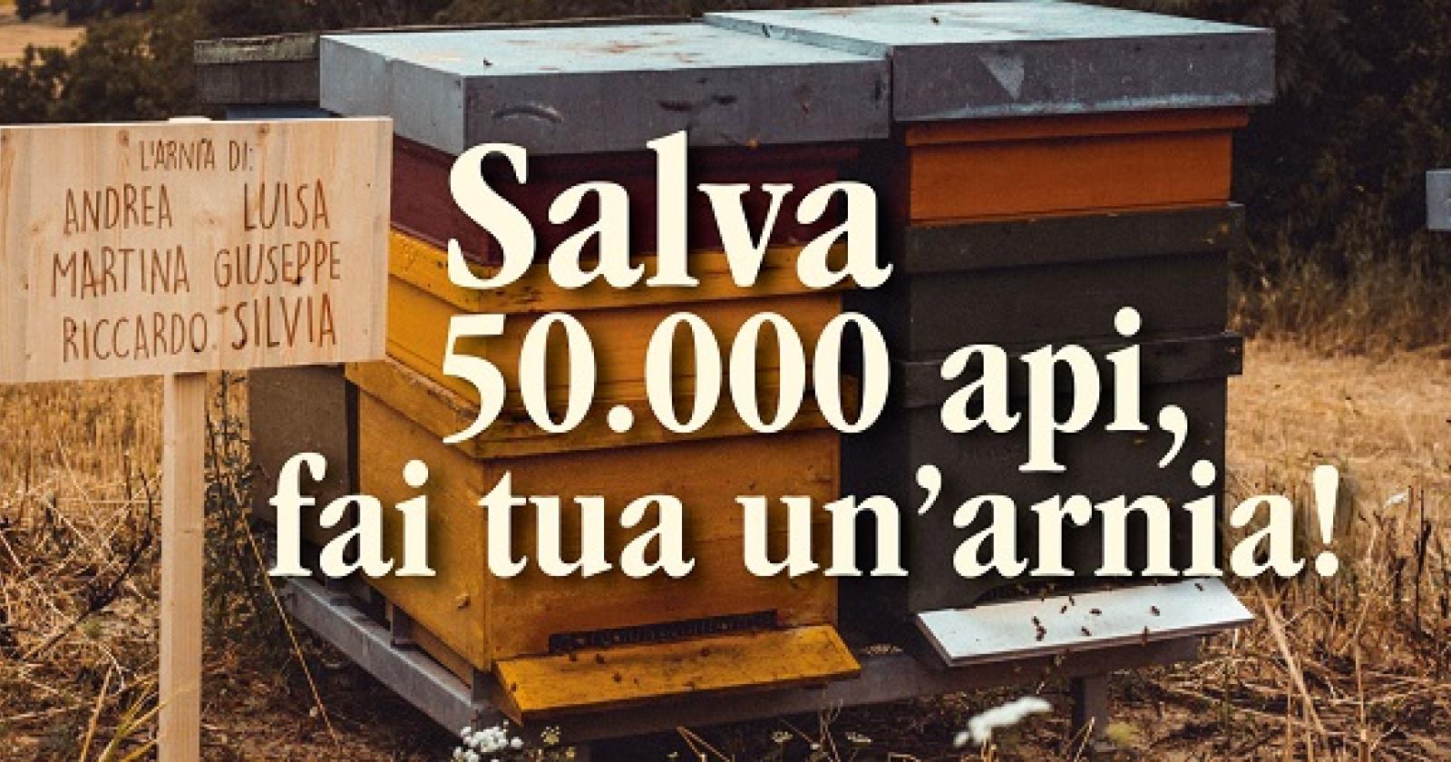 "Salva 50mila api, adotta un'arnia"