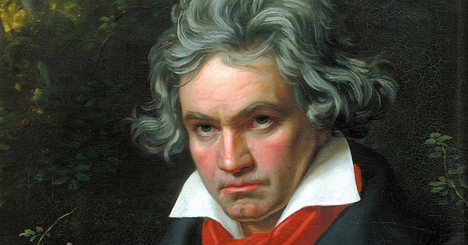 Alla scoperta di Bebbethoven