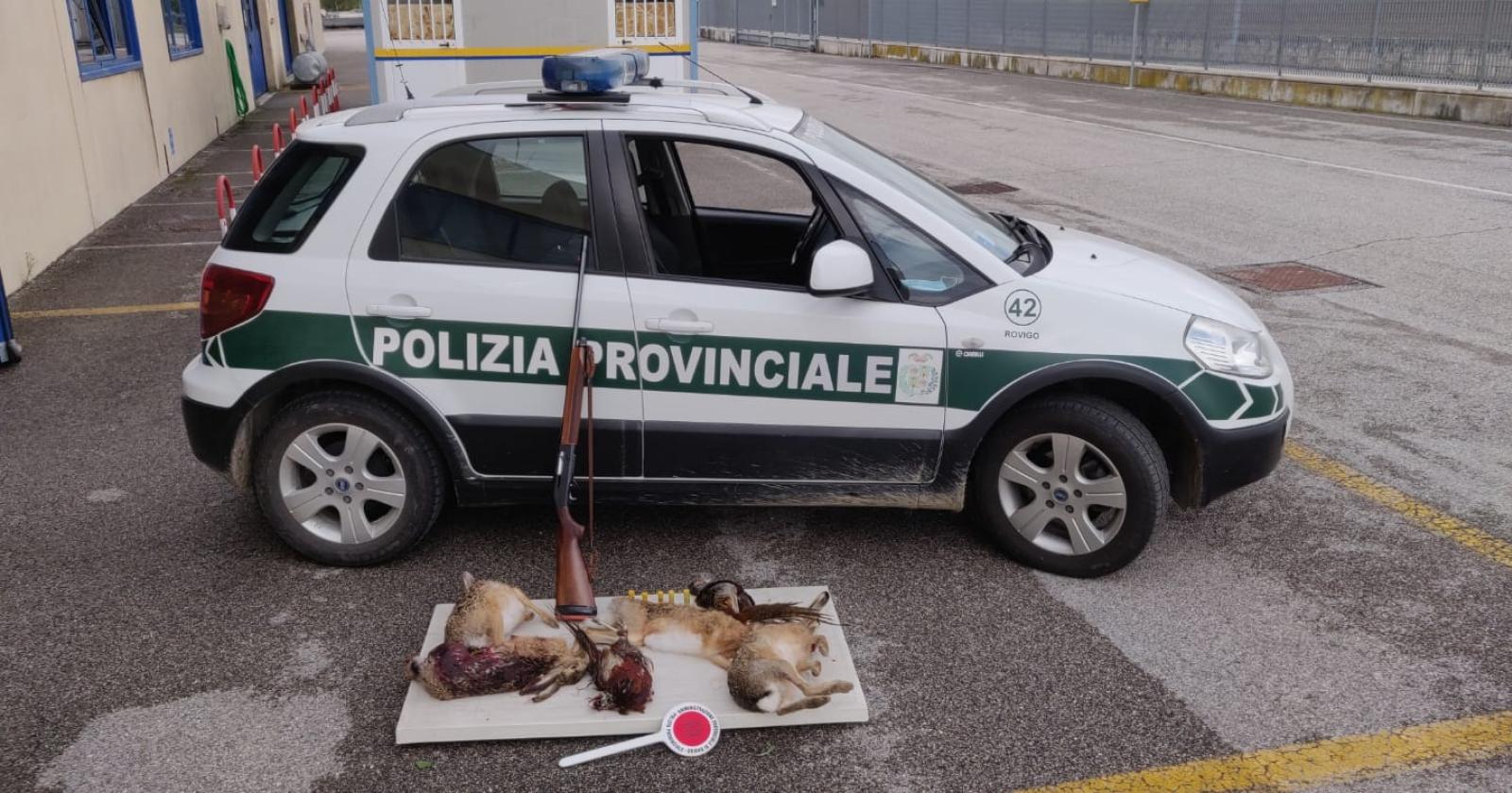 Maxi operazione contro i bracconieri, scattano i sequestri