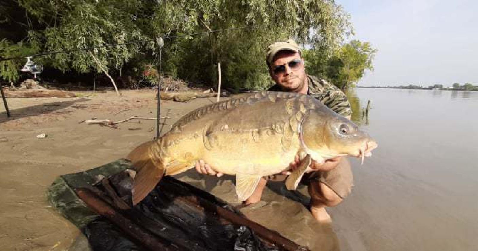 Una super carpa: che pescata!