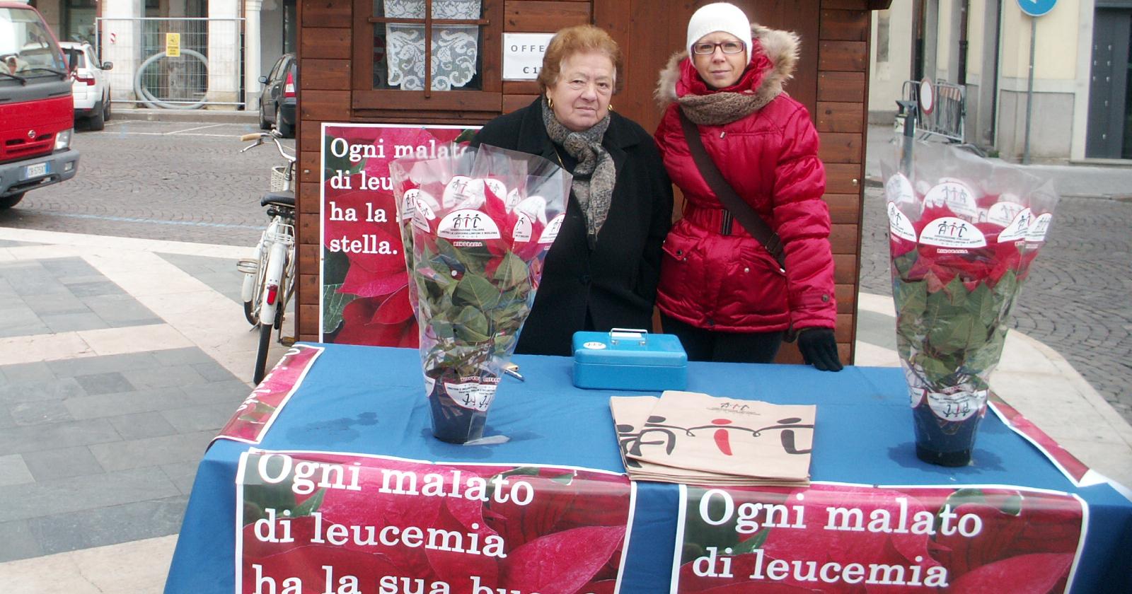 Le Stelle di Natale  tornano in piazza, per fare del bene