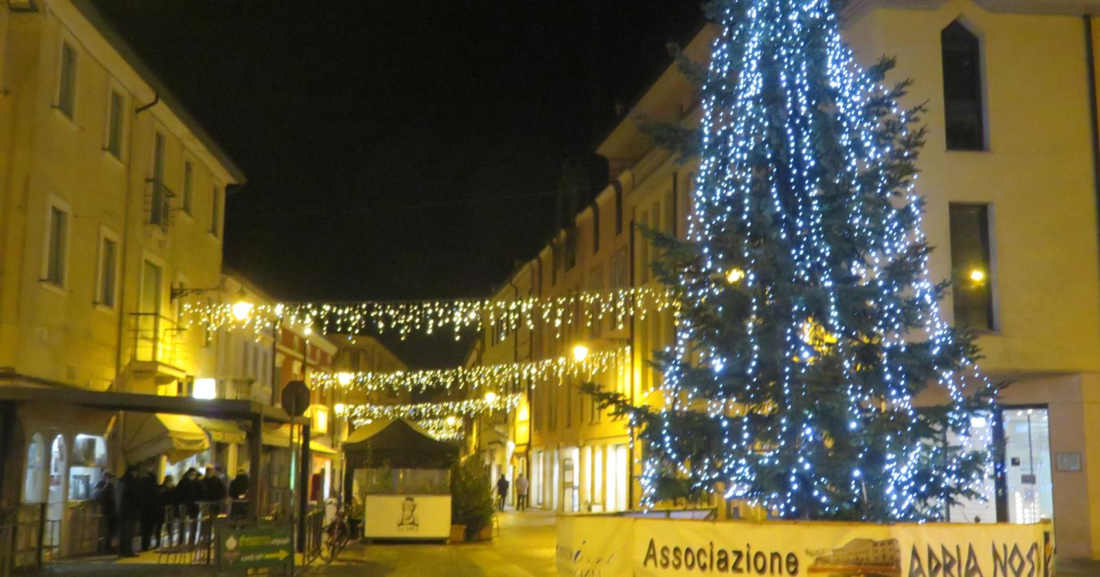 Gli alberi di Natale della città nel tuo giardino 