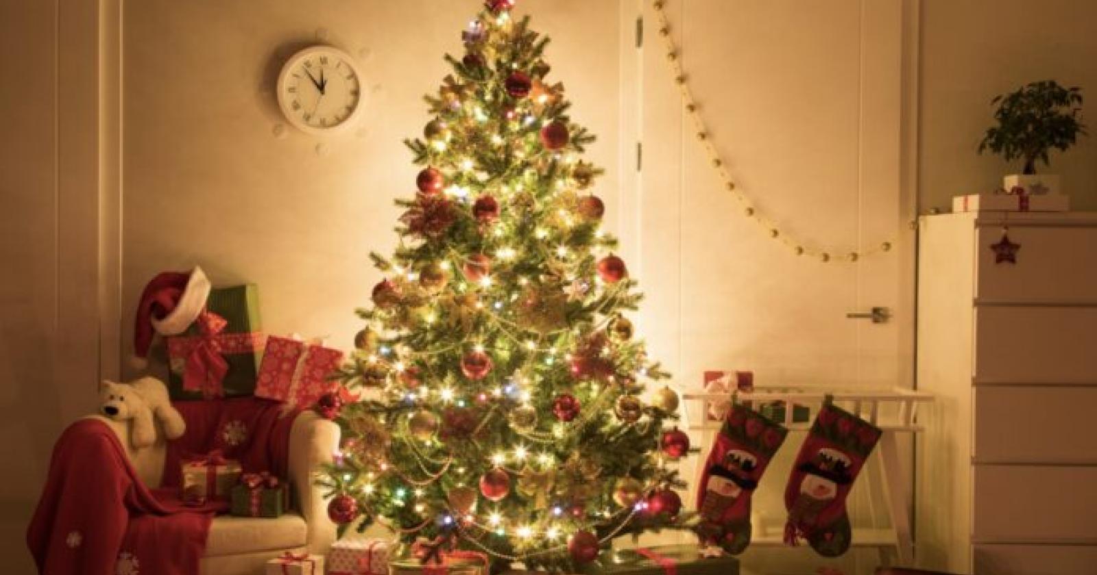 Alberi di Natale per tutti i gusti: mandateci le vostre foto 