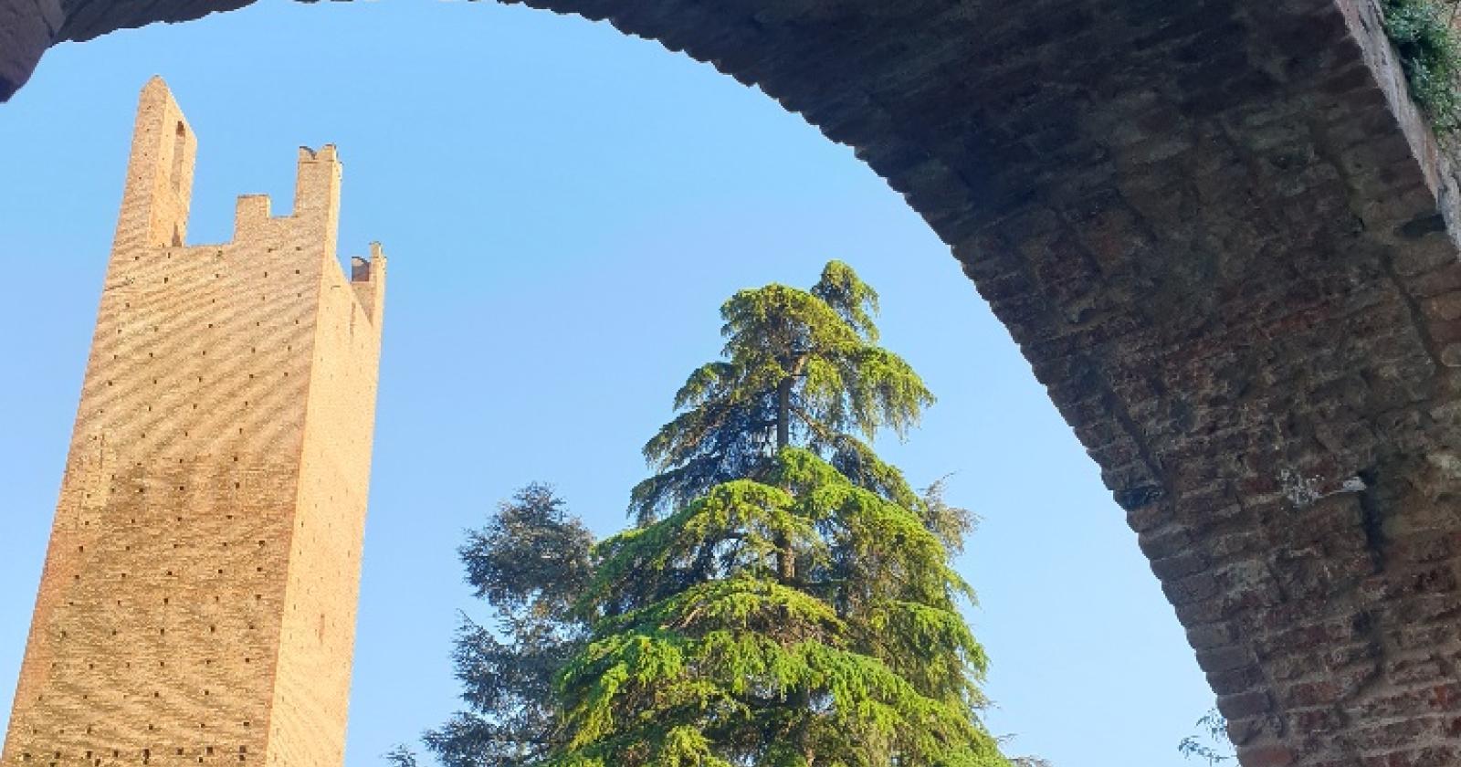 Rovigo diventa più luminosa: nuovi punti luce nei giardini delle Due Torri e non solo...