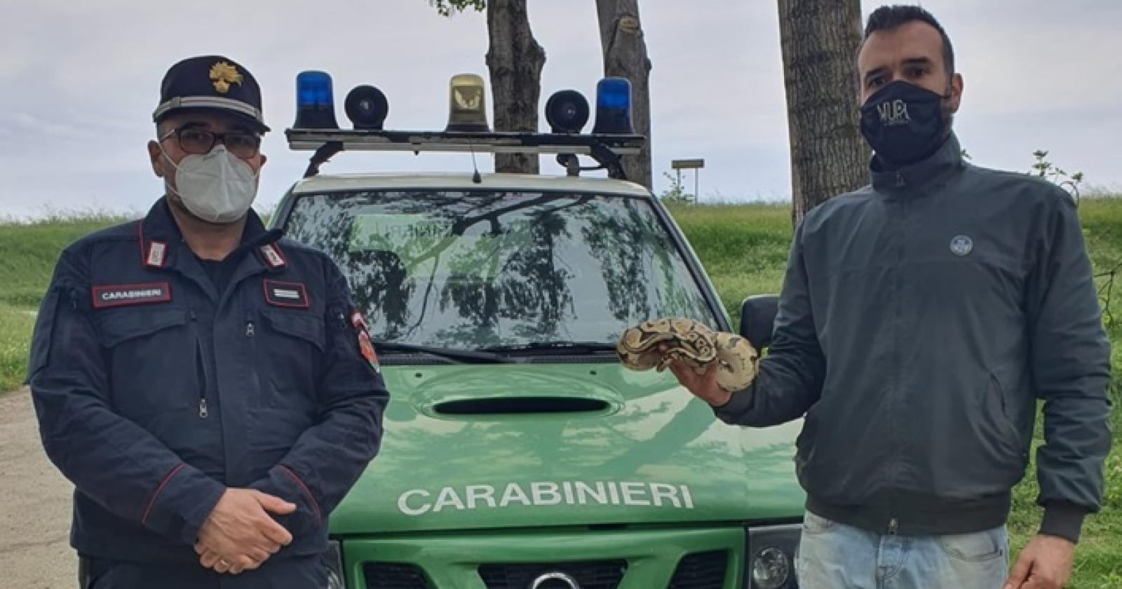 Recuperato il pitone abbandonato sulla rampa arginale