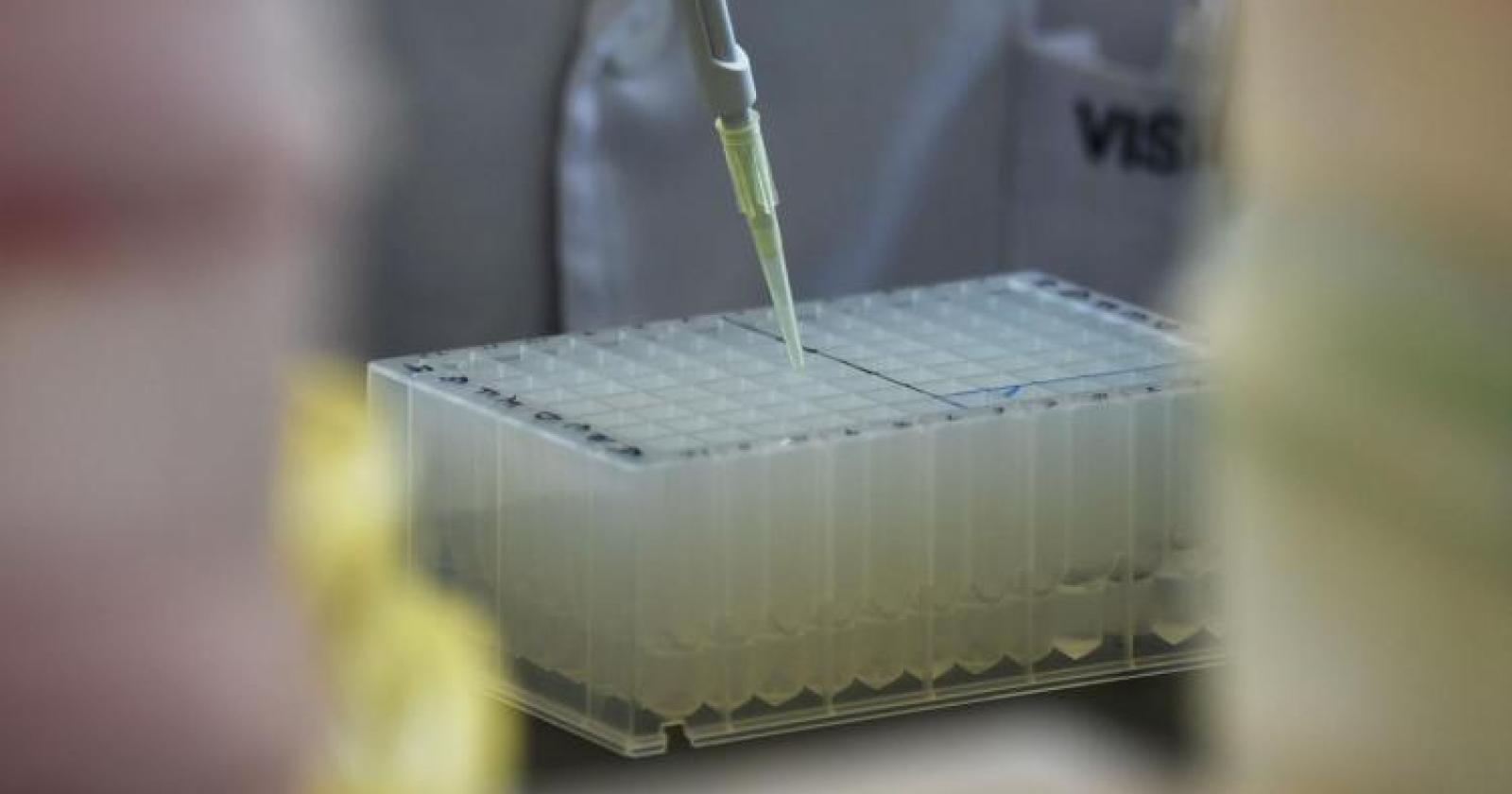 Covid, creato il "super-anticorpo" che blocca la malattia (e anche anche le varianti)