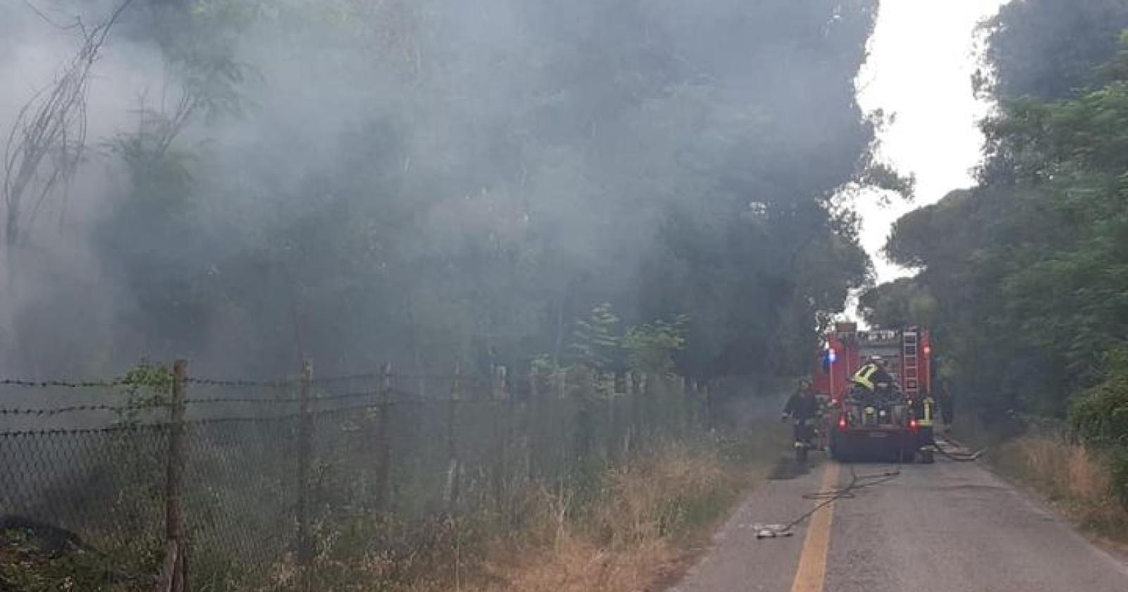 I pompieri domano le fiamme e salvano la pineta