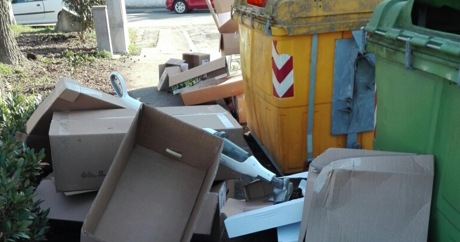 "Basta con i rifiuti gettati fuori dai cassonetti"