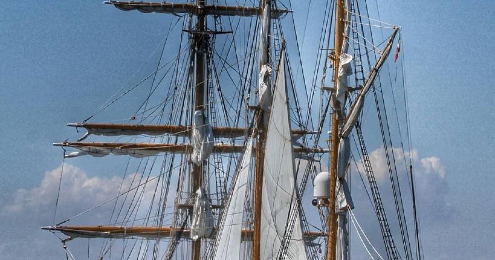 Meraviglia dei mari, al porto di Chioggia