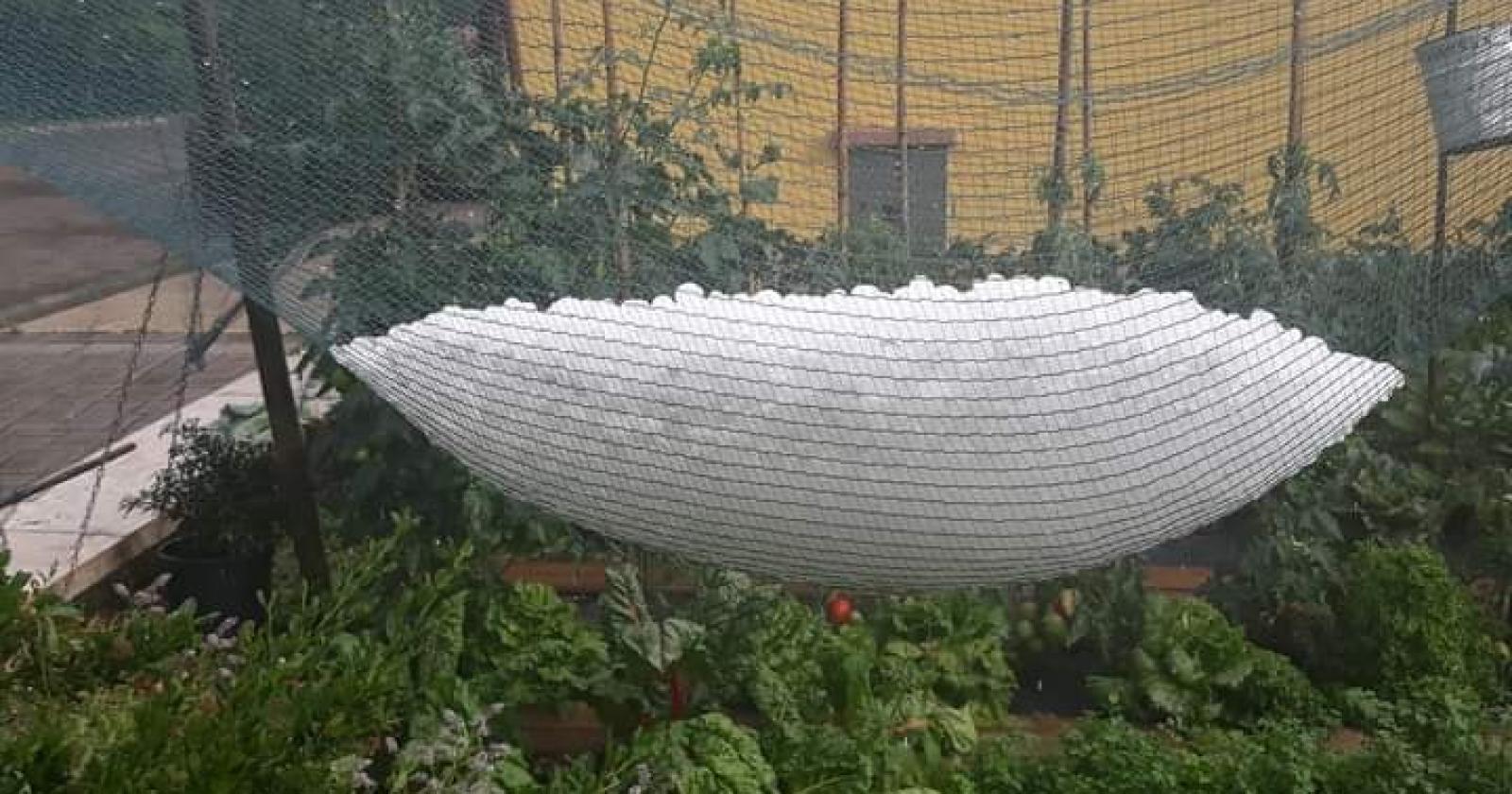 maltempo  danni  agricoltura   veneto verona rovigo