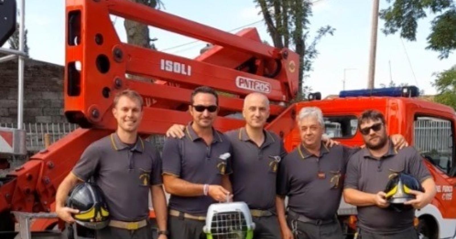 Intrappolato nel recinto dei cani, gatto salvato dai pompieri