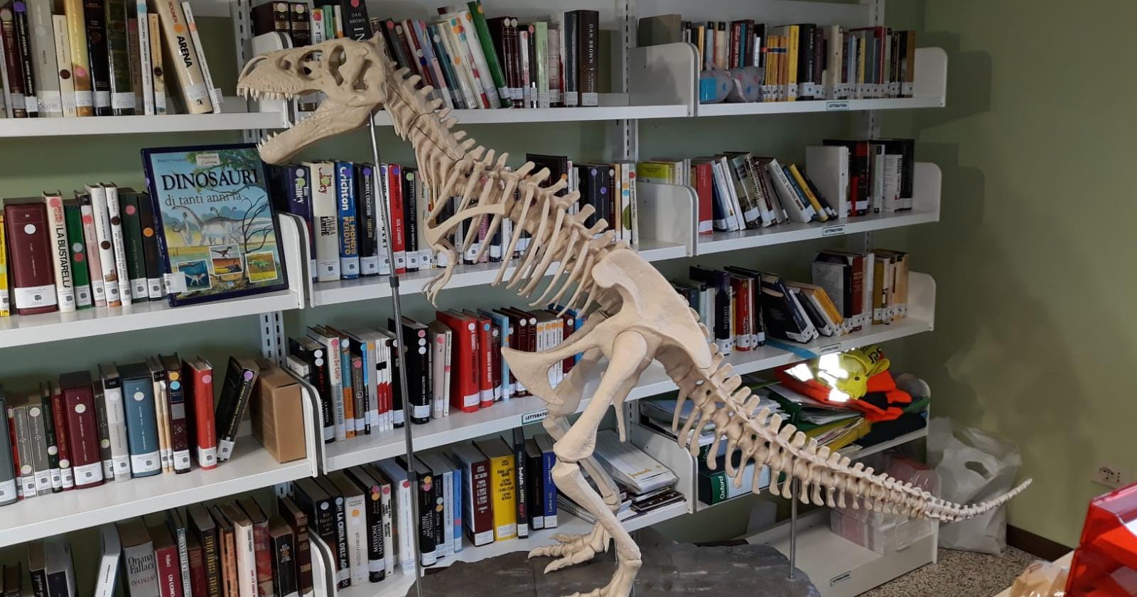 In biblioteca in compagnia del dinosauro 