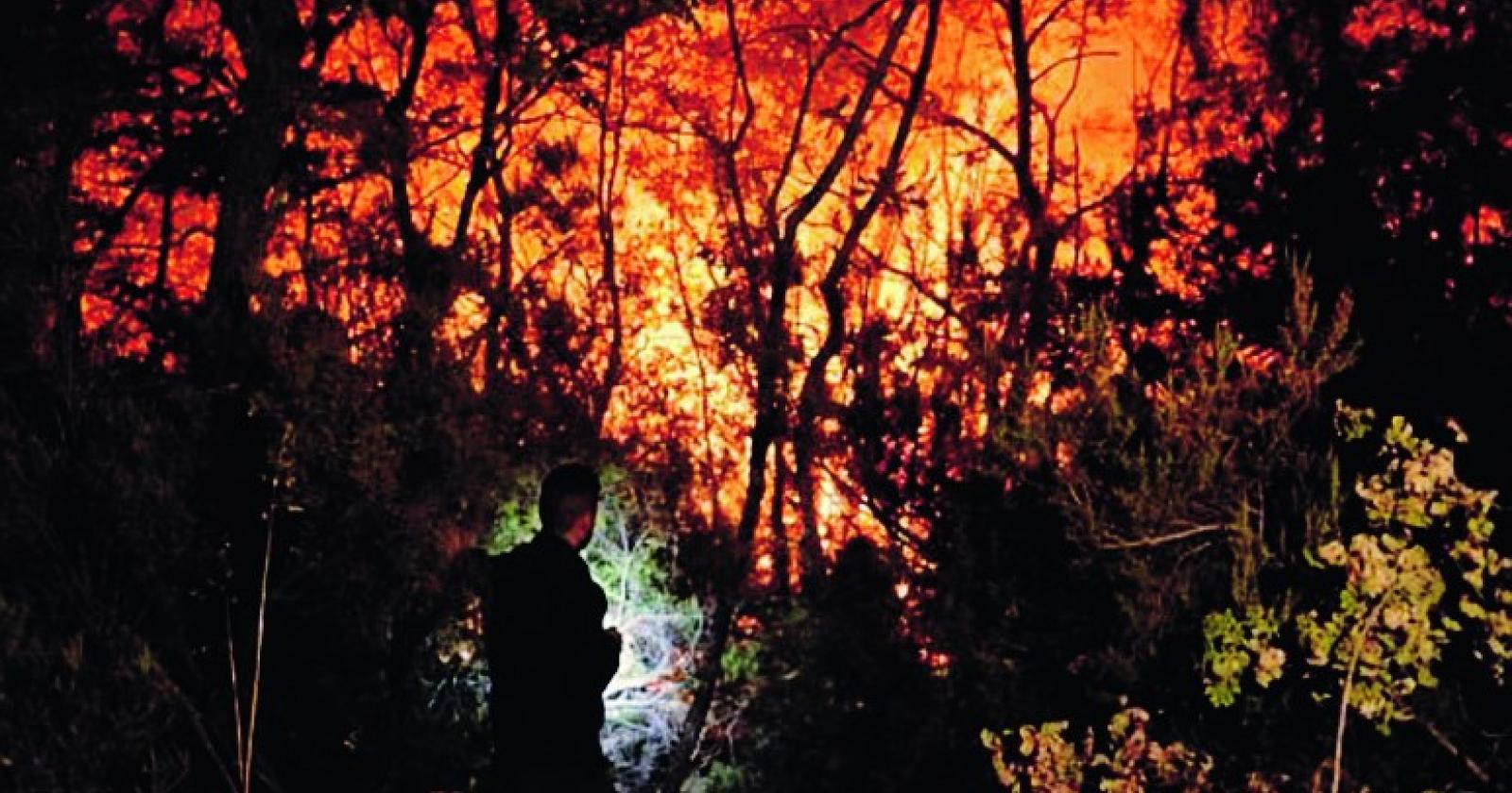 Incendi, qui il rischio è basso