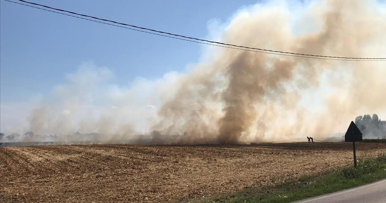 Grosso incendio nei campi: i pompieri salvano le case