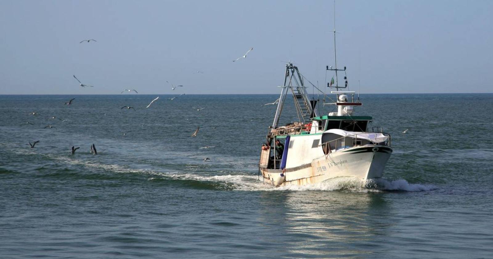 Pesca, presto le bocche a mare verranno liberate 