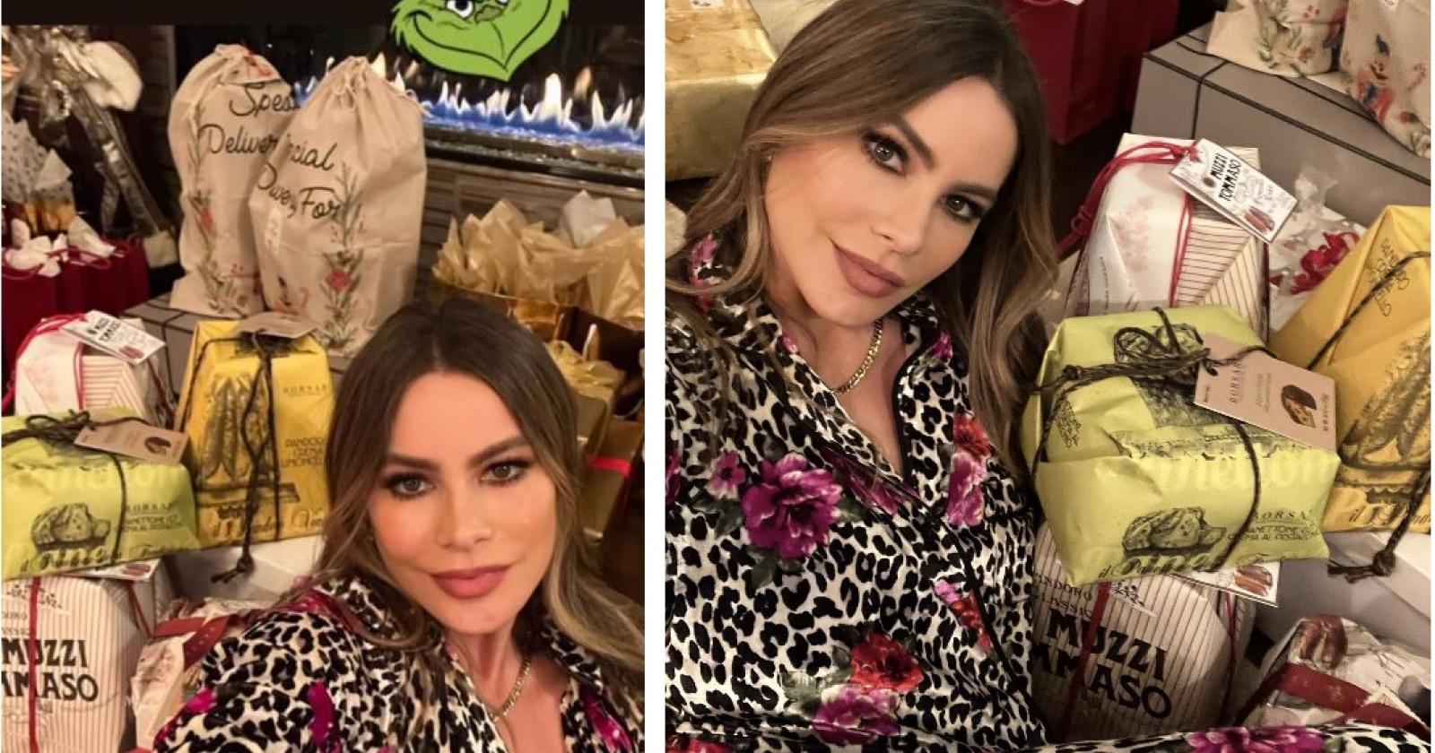 Sofia Vergara coi panettoni di Borsari